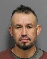 X-এ Margo: "NORTH CAROLINA 👇🏼"