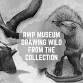 MNH Drawing Wild-From the Collection