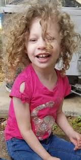 Fallschirmjager photo collection and cufftitle variation