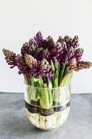 Enter a name to find and verify an email. Shopper S Diary Behind The Scenes At Winston Flowers In Boston Gardenista Winston Flowers Beautiful Flowers Planting Flowers