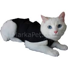 Win Pet Ameliyat Sonrasi Kedi Kopek Elbisesi Xs 42 34 Cm Fiyati
