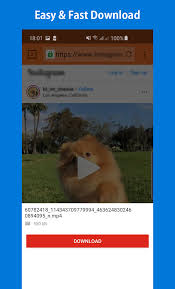 Here you can download xvideos apk apps free for your android phone, tablet or supported on any android device. X Video Downloader Free Fast Video Downloader Apk 1 0 4 Download For Android Download X Video Downloader Free Fast Video Downloader Apk Latest Version Apkfab Com