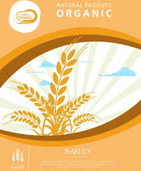Organic Product Advertising Brown Barley Design Curves Decoration Free Vector In Adobe Illustrator Ai Ai Format Encapsulated Postscript Eps Eps Format Format For Free Download 6 75mb