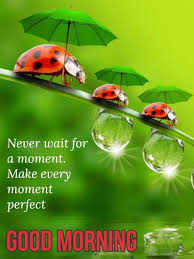 It's time to wake up and give me a hug, good morning ladybug! 25 Inspirational Good Morning Quotes With Beautiful Images To Make Your Day Happy Good Morning