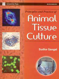 Check spelling or type a new query. Principles And Practice Of Animal Tissue Culture Gangal Sudha 9788173715785 Amazon Com Books