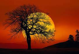 New Release The Work Peter Lik Photography Peter Lik Art Photography
