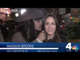 Reporter Fails News Reporter Fails Compilation Most Awkward Funny News Reporter Fails Ever Youtube