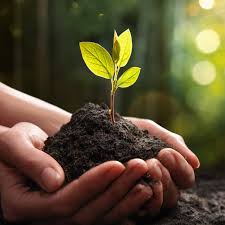 Loretta McCormick Obituary