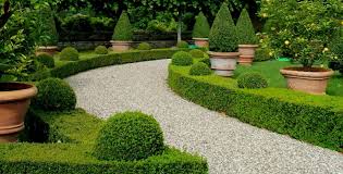 Planter Une Bordure De Buis Garden Paths Outdoor Outdoor Decor