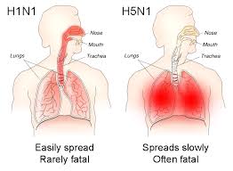Pin On Medicine Physiology And Natural Healing