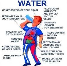 Jenna Greenleaf (@jgreens13)