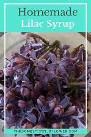 How To Make Lilac Syrup Edible Flowers Recipes Simple Syrup Edible Flowers