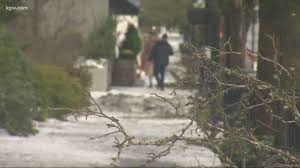 Starting to see cracks in your ceiling? Risk Of Trees Branches Falling Days After Portland Winter Storm Kgw Com