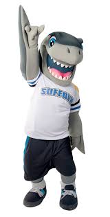 Suffolk County Community College Thirty One Earn Njcaa All Academic Status In 2020 Community College Suffolk County College Athletics