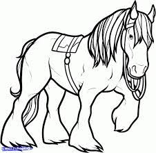 Clydesdale lines by westernrider2991 900 x 682px 58.27kb. Shire Horse Coloring Pages Clydesdale Coloring Pages Gallery Photos Horse Coloring Horse Coloring Pages Coloring Pages