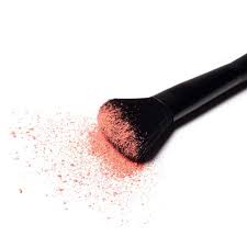 makeup brush for blush and powder