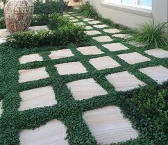 Dichondra Repens Ground Cover Between Pavers By Alandscapearchitect Ground Cover Garden Pavers Small Backyard Gardens