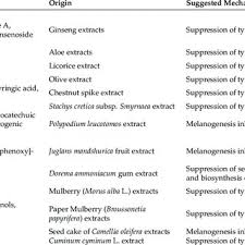 Image result for Melasma calycinum