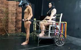 Arousing Vk Wall Ponyplay - Adult Fetish