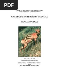 Image result for Plumbago ituriensis