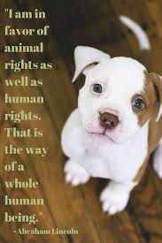  12 Inspirational Quotes All Animal Lovers Should Know Animal Quotes Animals Humane Education