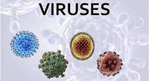 Nov 25, 2019 · virus quizzes & trivia viruses are nasty things regardless of whether or not you're talking about the kind that attacks your body or your computer. Which Viral Disease Is Caused By The Trivia Questions Quizzclub