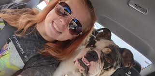 Petite female bully/boxer needs a home