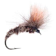 In some cases, they're the primary pollinators—without flies are intriguing in other ways. Catchy Flies Trockenfliege Cf18 Parachute Black Trockenfliegen Fliegen Adh Fishing