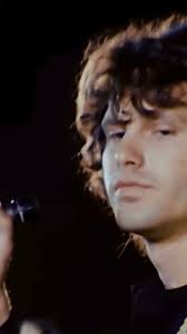 I am troubled Immeasurably By your yes I am struck By the feather of your  soft Reply Photo by Paul Ferrara