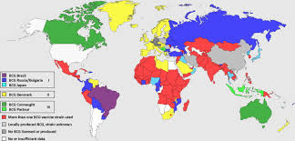 Unsurprisingly, the majority of those vaccinations have happened in a relatively small number of countries. Mapping The Global Use Of Different Bcg Vaccine Strains Sciencedirect