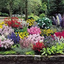 Fd10076wh Jpg 700 700 Pixels Cottage Garden Design Cottage Garden Flower Garden