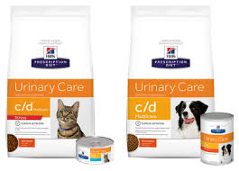 Hills cat food author review by dr. Hills Prescription Diets Marion Animal Hospital Veterinarians On The South Coast