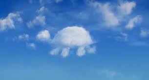 The turtle is a beautiful reminder on how we may get too comfortable in the safety of our shells or daily routines. 15 Dixie S Room Ideas Cloud Shapes Angel Clouds Clouds