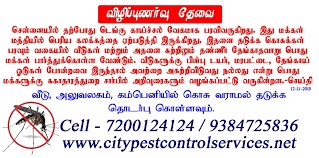 Pest control services in brighton, hove and sussex. City Pest Control Services Citypestcontro4 Twitter