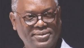 Doyin Okupe Remains DG Obi-Datti Campaign Organisation, Yunusa Tanko Named  Chief Spokesman (Full List)