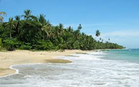 Best 43 Costa Rica Wallpaper On Hipwallpaper Costa Rica Wallpaper Beach Costa Rican Wallpaper And Costa Del Mar Wallpaper Standard 5:4 3:2 fullscreen qsxga sxga dvga hvga hqvga. costa rica wallpaper on hipwallpaper
