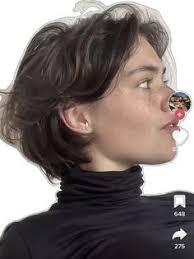 Joke Bos (jokebosaanen)