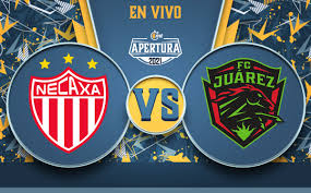 Club necaxa played against juárez fc in 1 matches this season. K4yjqpfcpc2pvm