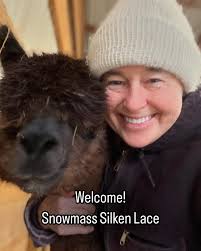 Misty Pond Alpaca and Maremmas