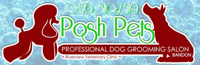 We did not find results for: Posh Pets Grooming Salon Bandon Home Facebook