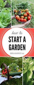 How To Start A Garden The Ultimate Guide For New Gardeners Starting A Garden Organic Gardening Tips Gardening For Beginners
