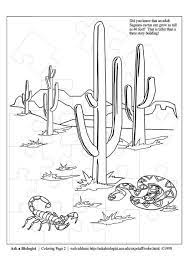 Coloring Page Desert Img 3638 Paisaje De Desierto Dibujos Para Colorear Desierto De Sonora