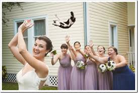 1.1.10 die katzen müssen regelmäßig gegen katzenseuche und katzenschnupfen geimpft werden. Kurioses Aus Den Weiten Des Internets Braute Die Katzen Werfen