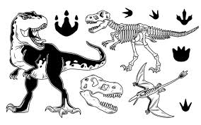 Am beispiel dieser eindrucksvollen tiere können kinder lernen, wie menschen aus fossilien informationen über lange vergangene epochen der erde gewinnen können. Bilder Dinosaurier Gratis Vektoren Fotos Und Psds