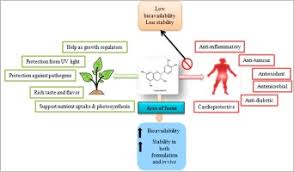We did not find results for: Biological Functions Of Epicatechin Plant Cell To Human Cell Health Sciencedirect