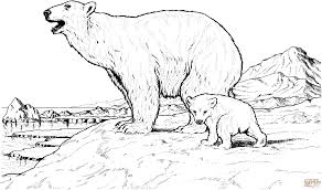 Http Colorings Co Baby Arctic Animals Coloring Pages Bear Coloring Pages Polar Bear Coloring Page Coloring Pages