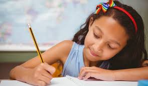 FSL Summer Support Package — Fraser Stevens Learning