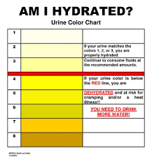 Urine Color Indicator Chart Www Bedowntowndaytona Com