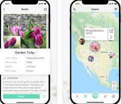 Plantnet is an image sharing and retrieval application for the identification of plants. 4 Plant Identification Apps For Iphone
