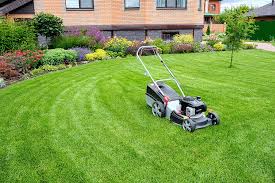 Welcome to tom's thumb nursery! S Downs Landscape Gardener And Property Maintenance The Guild Of Master Craftsmen
